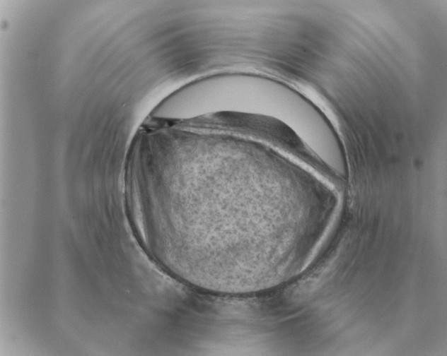 X0000088830951200707051419