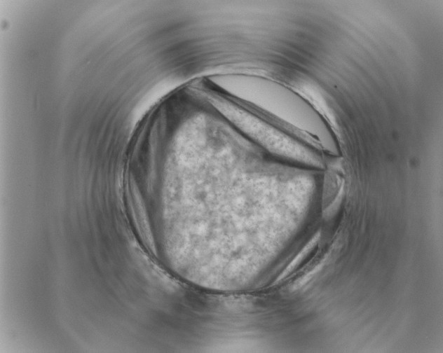 X0000088830952200707051419