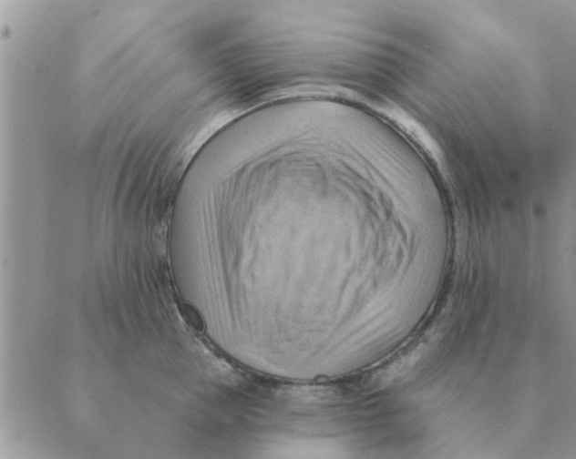 X0000088830953200707051419