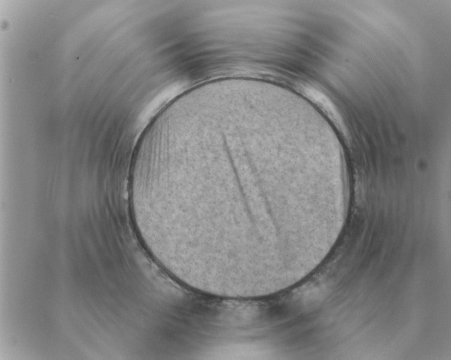 X0000088830954200707051419