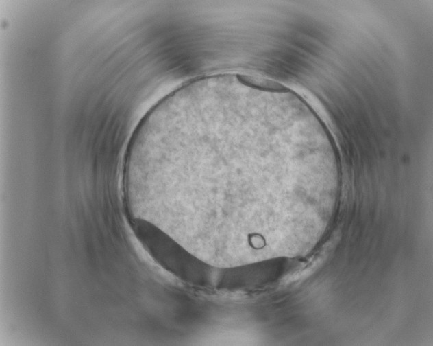 X0000088830957200707051419