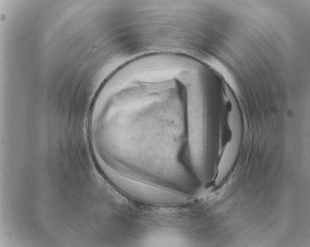 X0000088830958200707051419