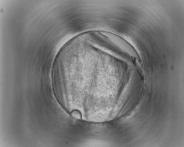 X0000088830959200707051419