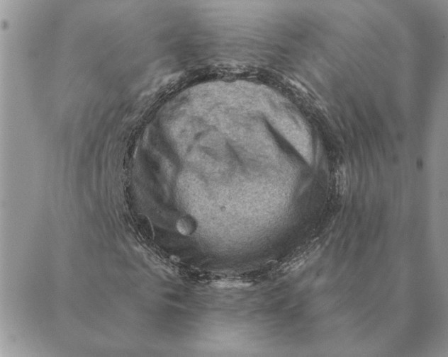 X0000088830961200707051418