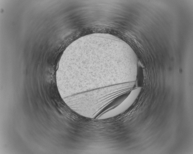 X0000088830964200707051418