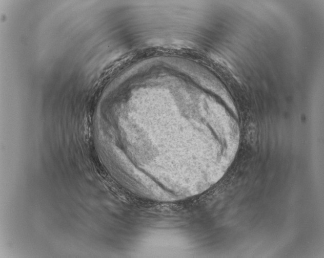 X0000088830966200707051418