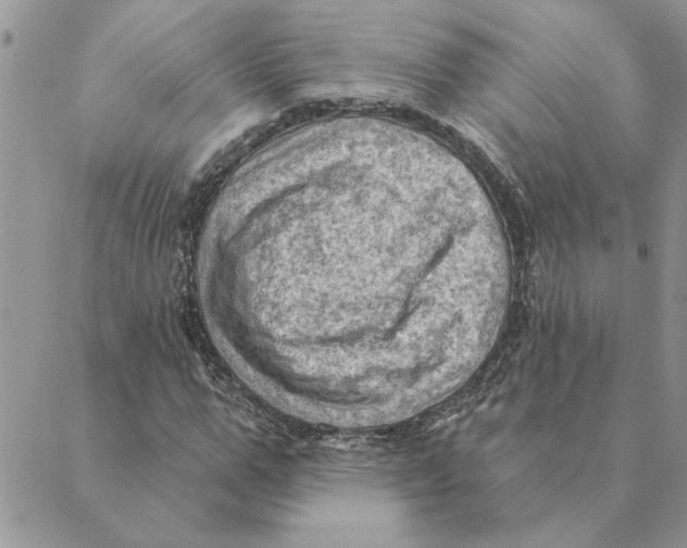 X0000088830967200707051418