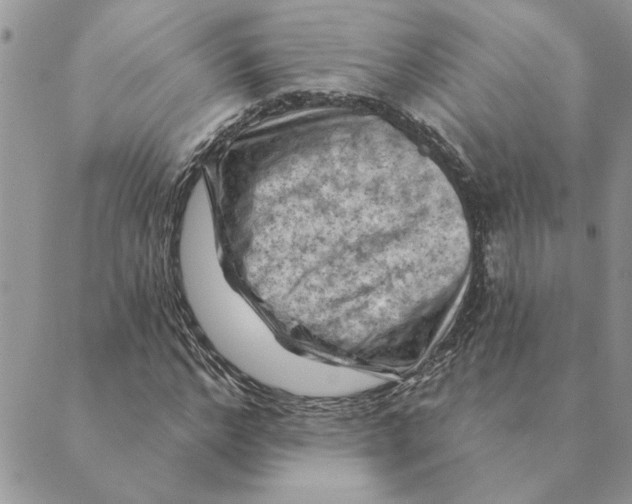 X0000088830968200707051418