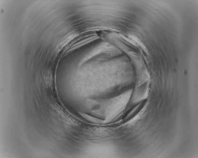 X0000088830969200707051418