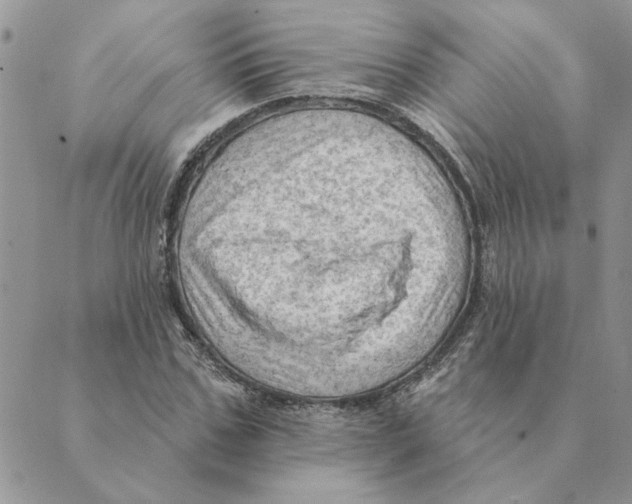 X0000088830971200707051418