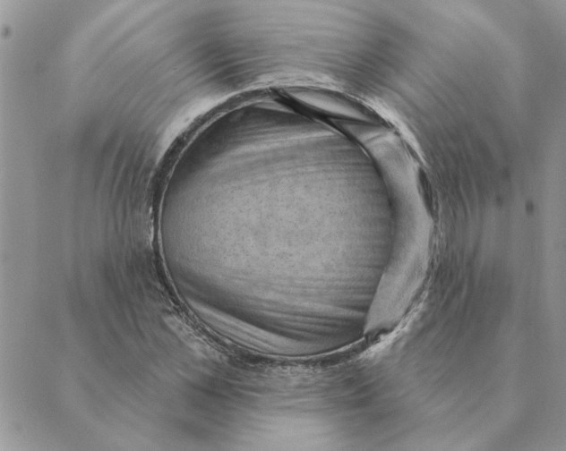 X0000088830973200707051418