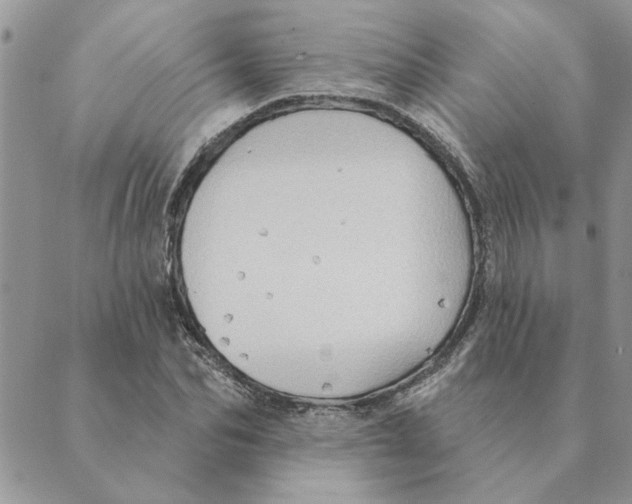 X0000088830974200707051418