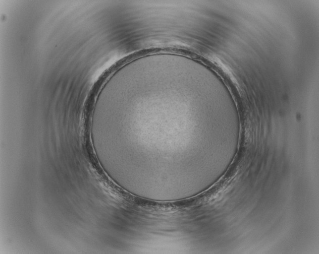 X0000088830975200707051418