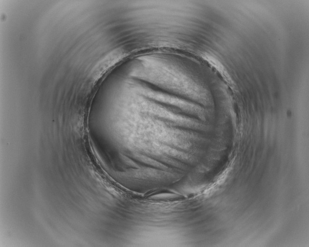 X0000088830977200707051418