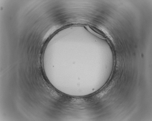 X0000088830978200707051418