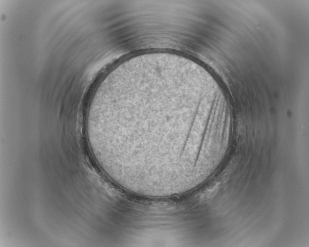 X0000088830979200707051418