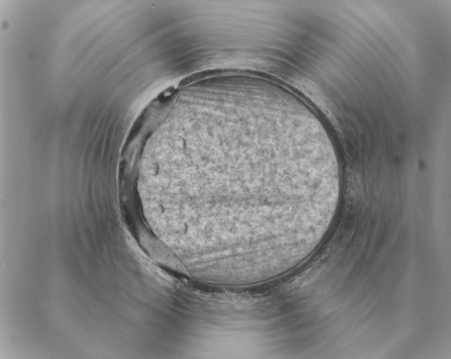 X0000088830980200707051418