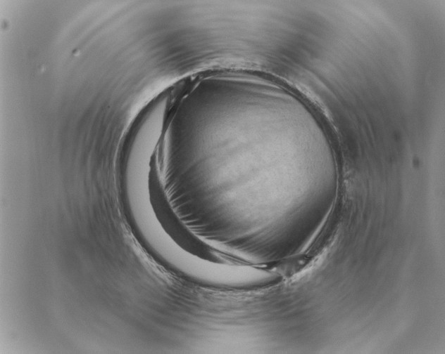 X0000088830981200707051418