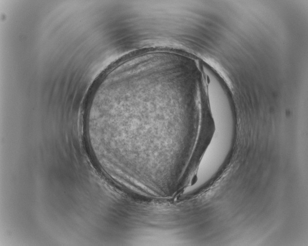 X0000088830983200707051418