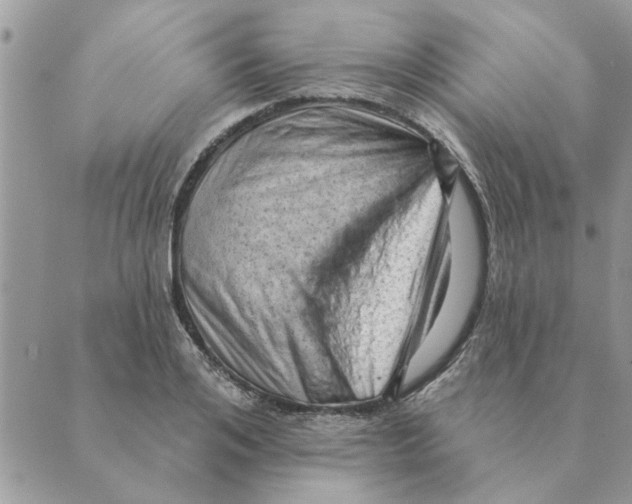 X0000088830984200707051418