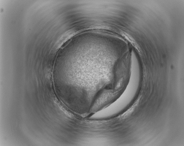 X0000088830985200707051418