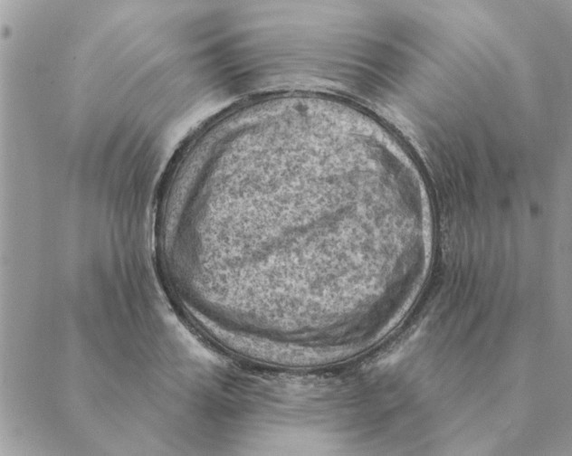 X0000088830987200707051418