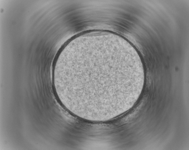 X0000088830988200707051418