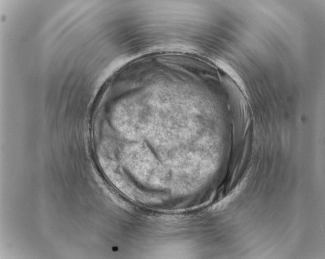 X0000088830989200707051418