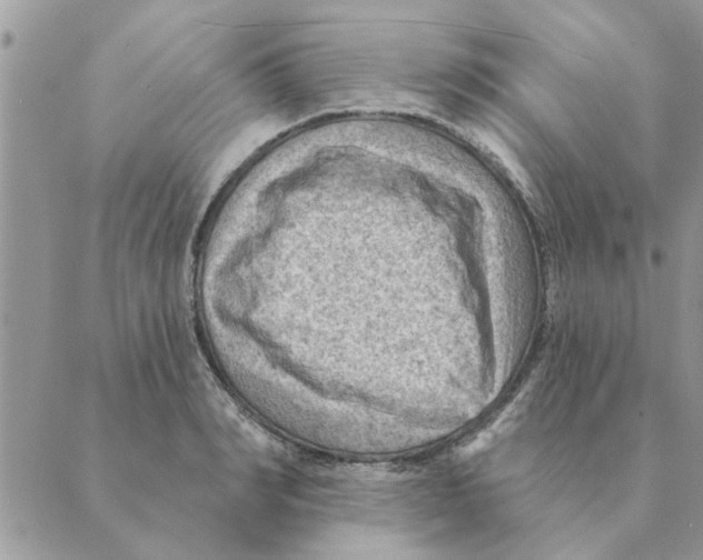 X0000088830990200707051418