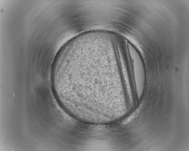 X0000088830991200707051418