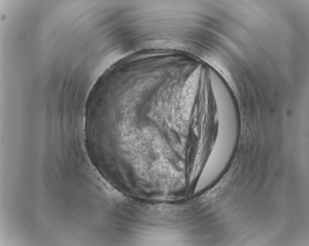 X0000088830992200707051417