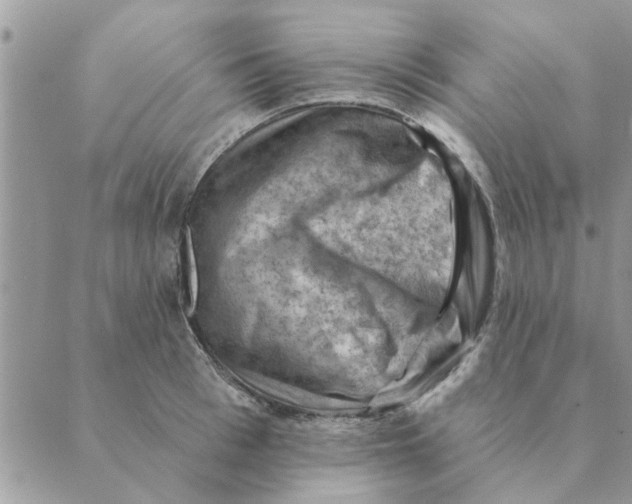 X0000088830993200707051417