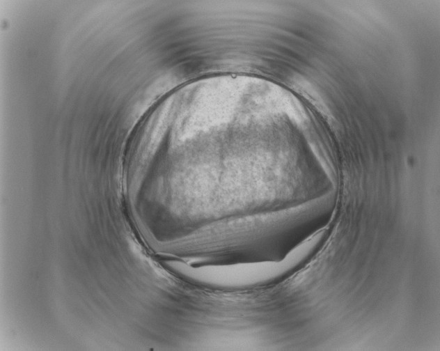 X0000088830994200707051417