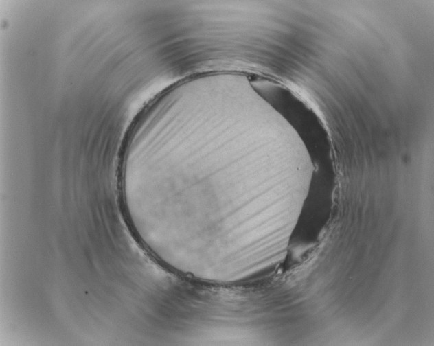 X0000088830995200707051417