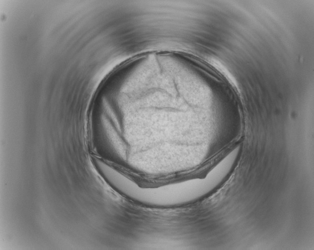 X0000088830996200707051417