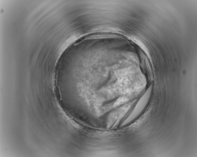 X0000088830997200707051417