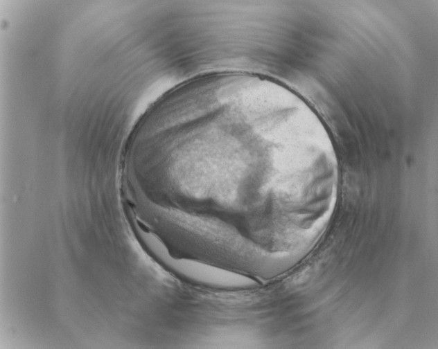 X0000088830998200707051417