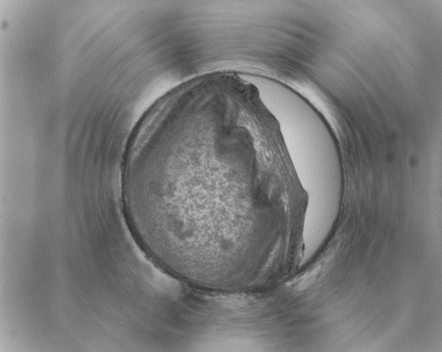 X0000088830999200707051417