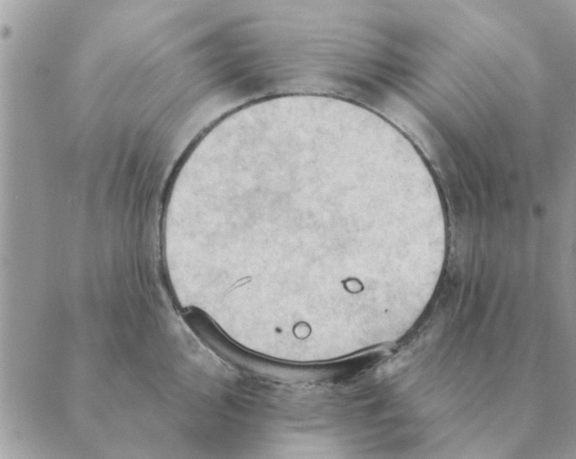 X0000088831000200707051417