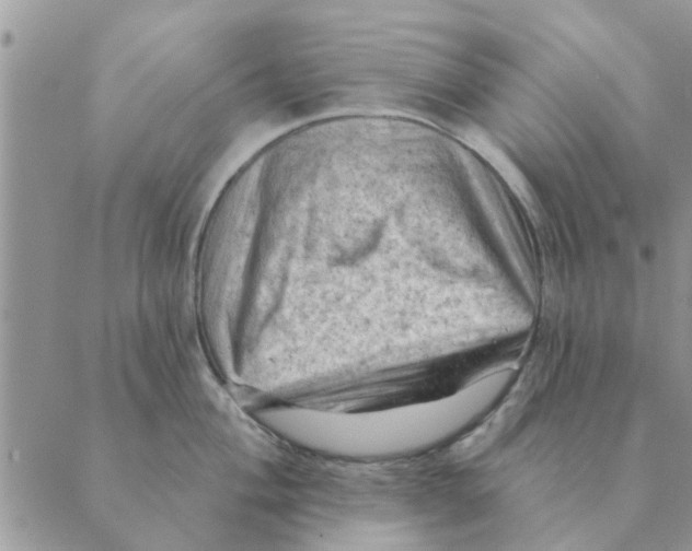 X0000088831004200707051417