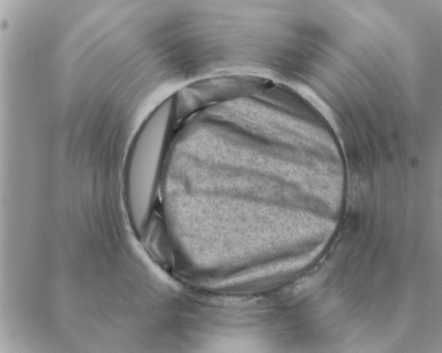 X0000088831005200707051417