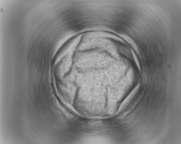 X0000088831006200707051417