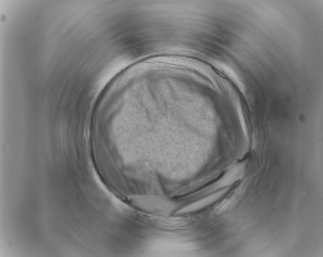 X0000088831007200707051417