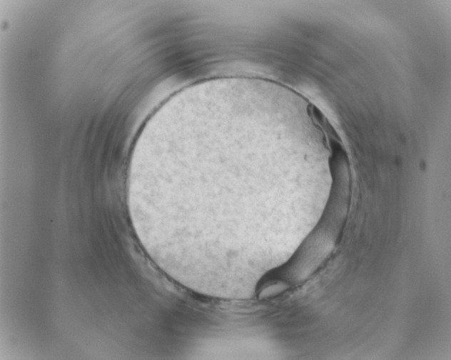 X0000088831008200707051417