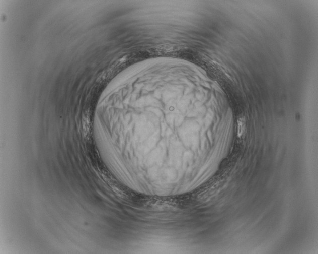 X0000088831011200707051416