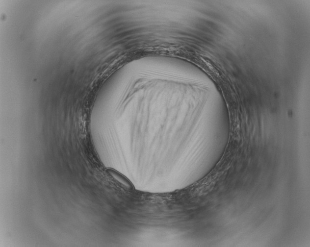 X0000088831013200707051417