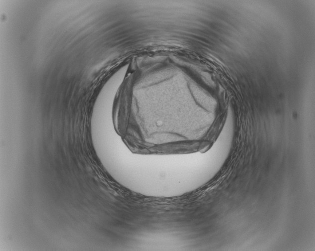 X0000088831014200707051417