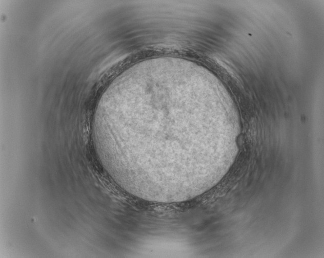 X0000088831015200707051417