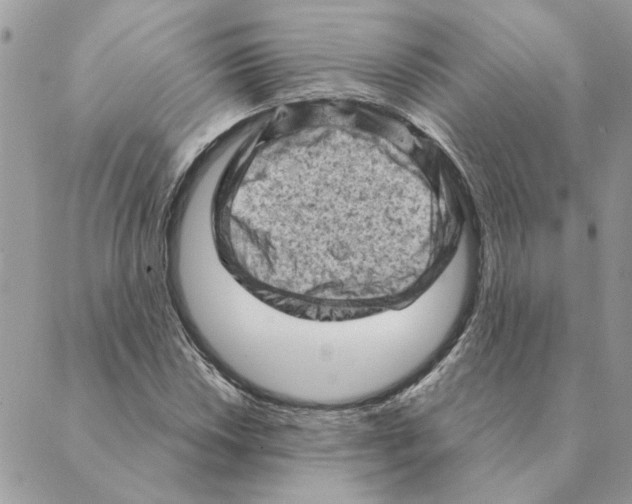 X0000088831018200707051417