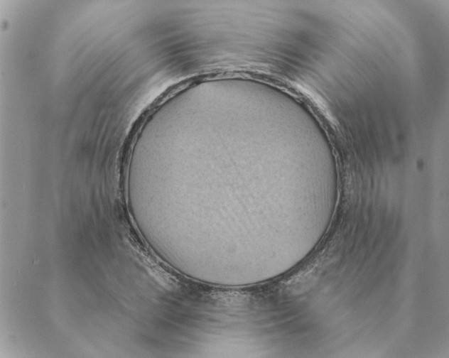 X0000088831023200707051417